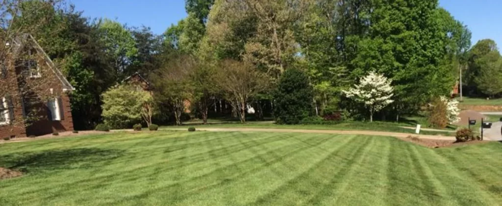Give Your Lawn a Good Spring Cleanup 10 good spring cleanup