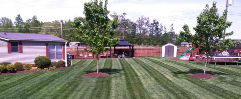 Hiring A Landscape Maintenance Company In Trinity, North Carolina 2 hiring a landscaping company