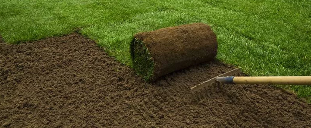 Should You Install Your New Lawn Using Seed Or Sod? 1 new lawn using seed or sod