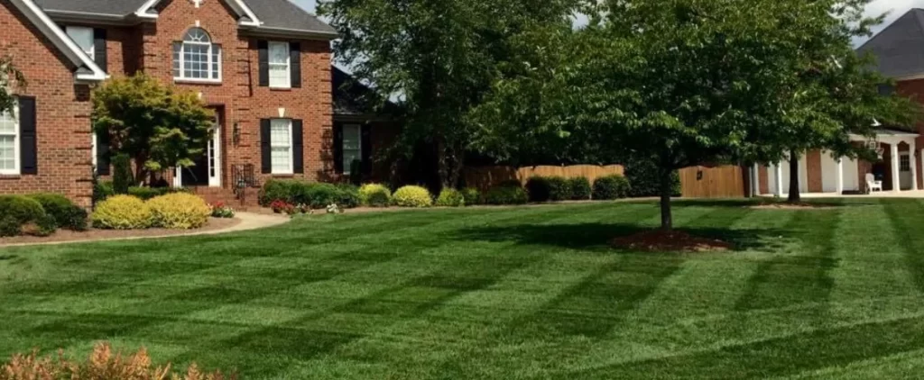 Who Is The Best Lawn Care Company In Trinity, North Carolina? Discover the best lawn care company in Trinity, North Carolina
