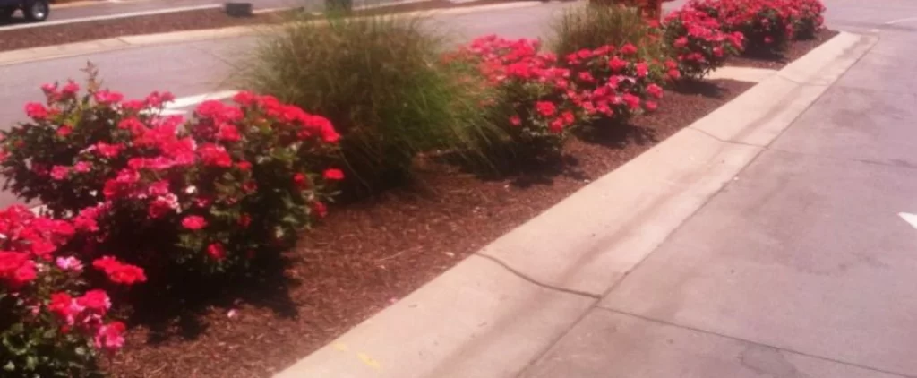 Hardscaping vs. Softscaping: What You Should Know A complete guide to hardscaping and softscaping