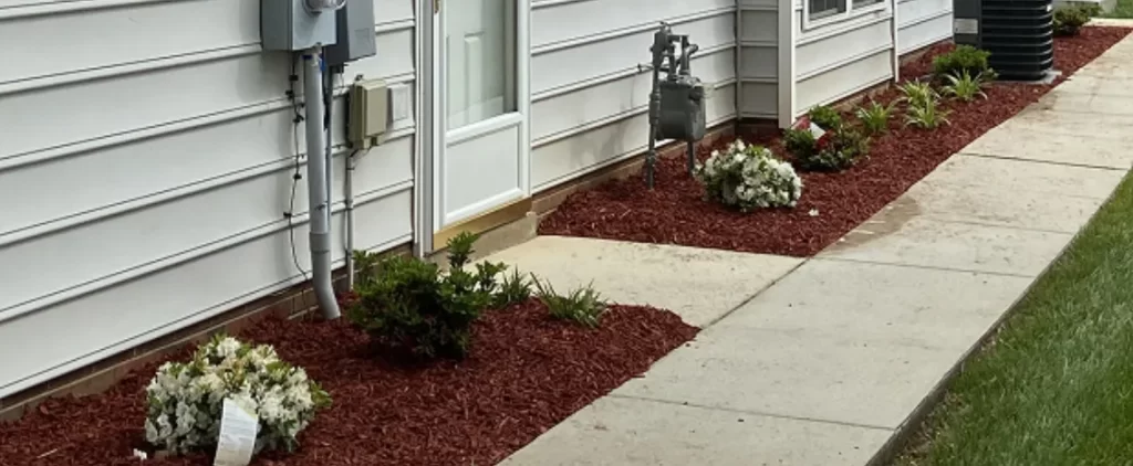 Plant Hardiness Zones & How to Choose The Best Plants for Your Zone 1 A complete guide to plant hardiness zones and tips