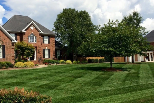 expert landscape maintenance triad nc