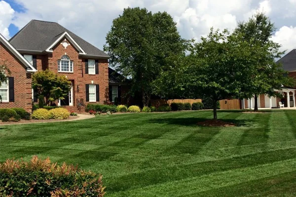lawn care in trinity nc