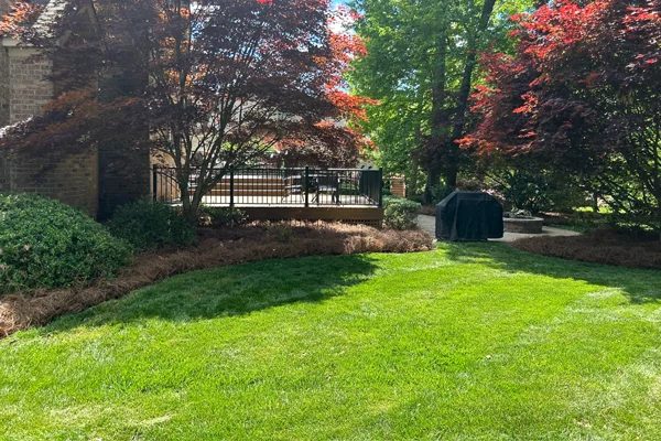 lawn landscape services summerfield nc
