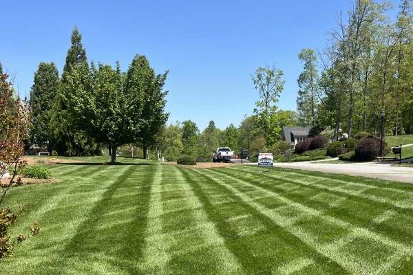 professional lawn care triad nc