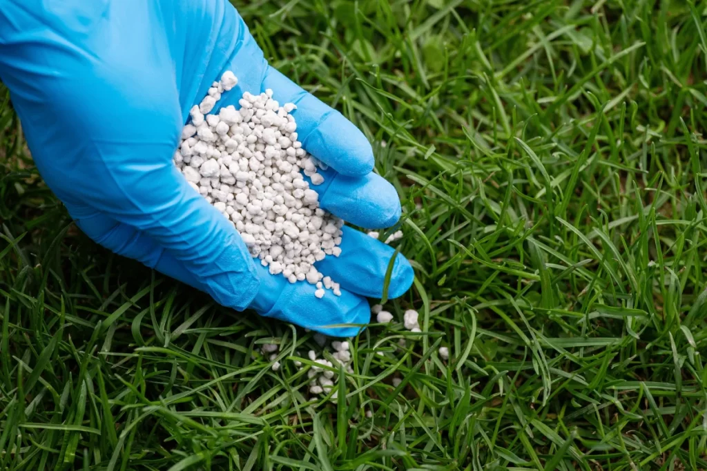 Lawn Care Pricing in High Point, NC: What You Should Expect to Pay in 2026 1 lawn care estimates high point nc