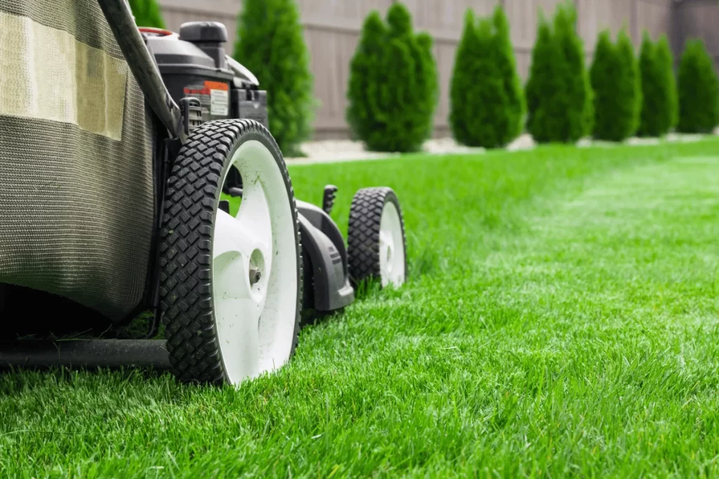 Lawn Care in Summerfield, NC: What Homeowners Here Need to Know (And Why It's Different From Greensboro) lawn care in summerfield nc