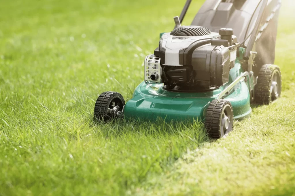 Lawn Mowing High Point NC: The High Point Homeowner’s Complete Lawn Mowing Guide lawn mowing schedule high point nc