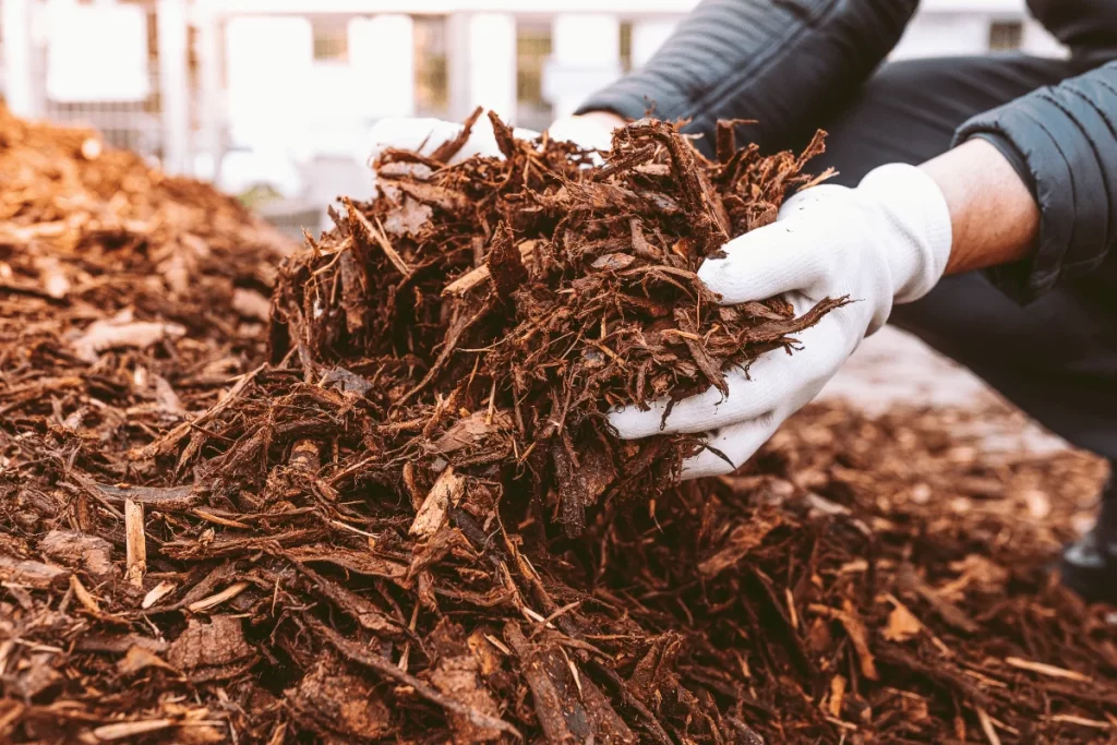 Lawn Care & Landscaping in Thomasville and Oak Ridge, NC: A Local Service Guide for 2026 local lawn and landscape care thomasville nc