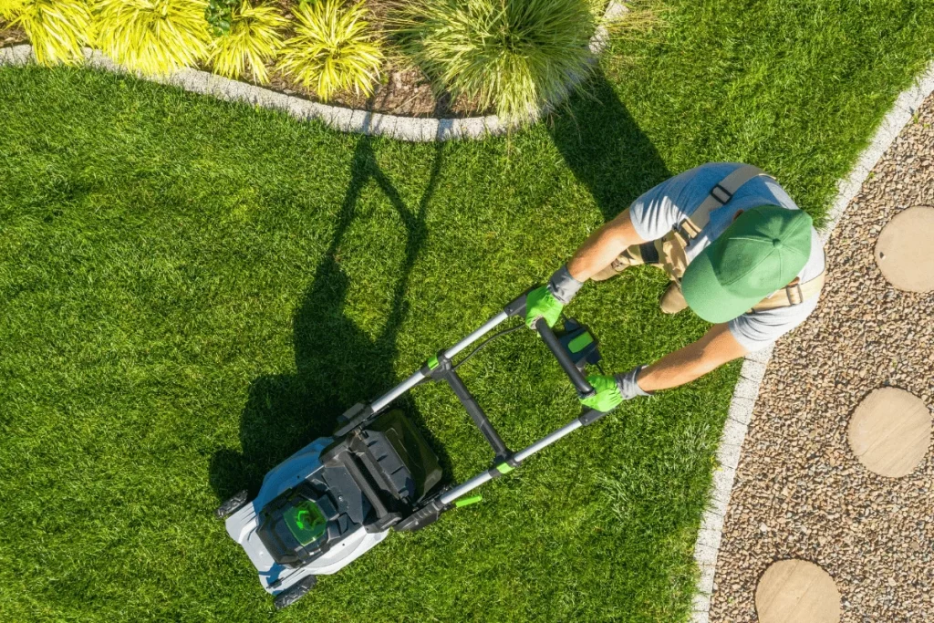 Lawn Care in Summerfield, NC: What Homeowners Here Need to Know (And Why It's Different From Greensboro) 1 summerfield lawn care source